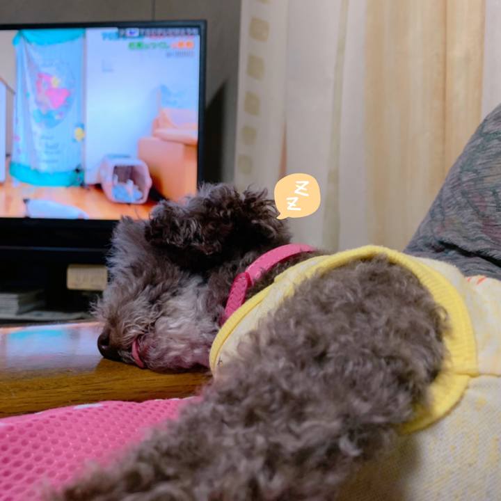 A8279d33 19fe 400c 9b34 f551b4e2ebab 1621165502035