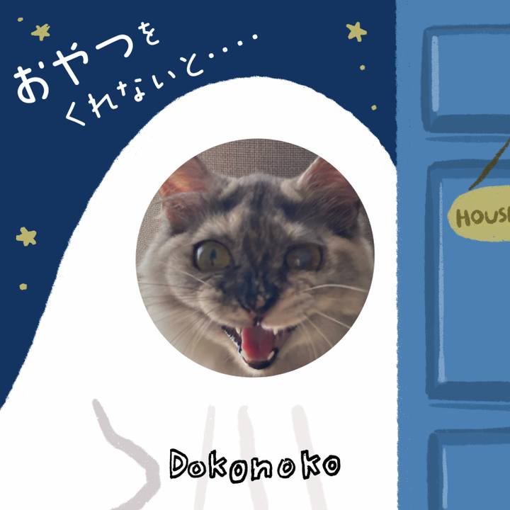 A827bf56 3d76 4d70 b58b 5b48eacd29a7 1729059609889