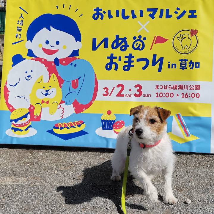 A827da96 9f79 43d7 8da5 ccba546c2d4d 1709354665622