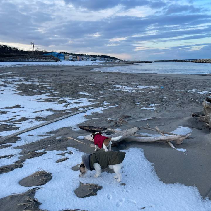 A827de09 0a27 42e4 9cef e4094a130137 1641429208384