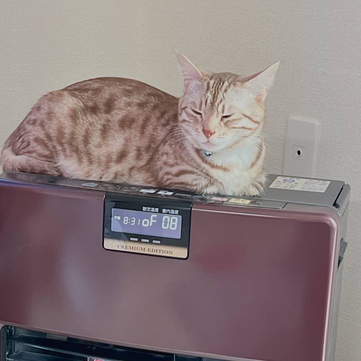 A827de53 a888 49c3 aab7 c1f50800efb4 1677109053336