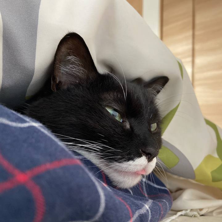 A827e463 50e6 49c2 b906 fa26f059ff37 1621640651831