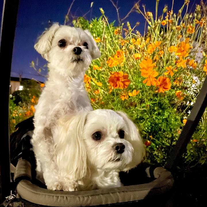 A827f5aa ef56 49f6 acfa 4faf674987e1 1632902405828