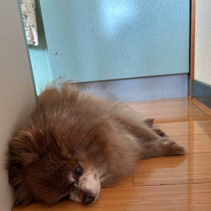 A8280e4b 66d6 4534 8a0c bc6345a5b563 1774768567871