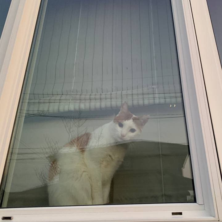 A8285e49 d4c6 404c 9379 a9186d88de85 1645826283523