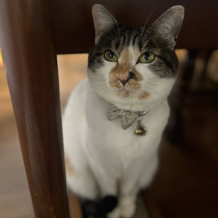 A82898fc e56f 4aed a89f 001e73ec82fe 1772663214643