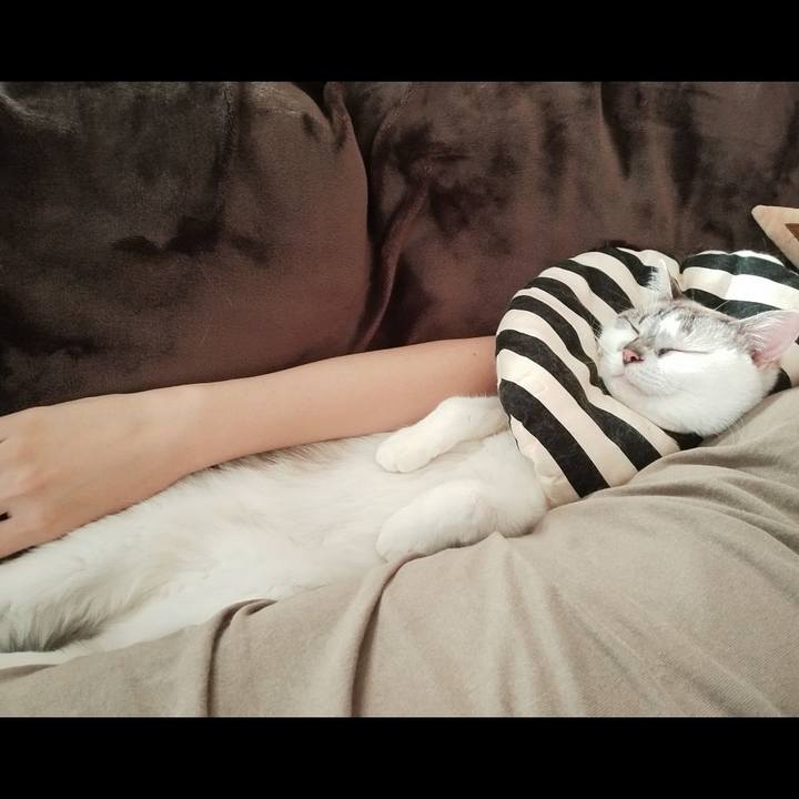 A828c696 e9d7 44b3 8054 1425db3def09 1597195963342