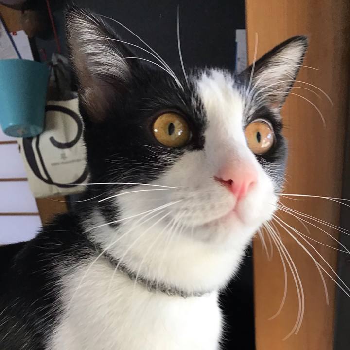 A8294cb7 e0ba 46cd af16 c27e844fbff2 1639807549639