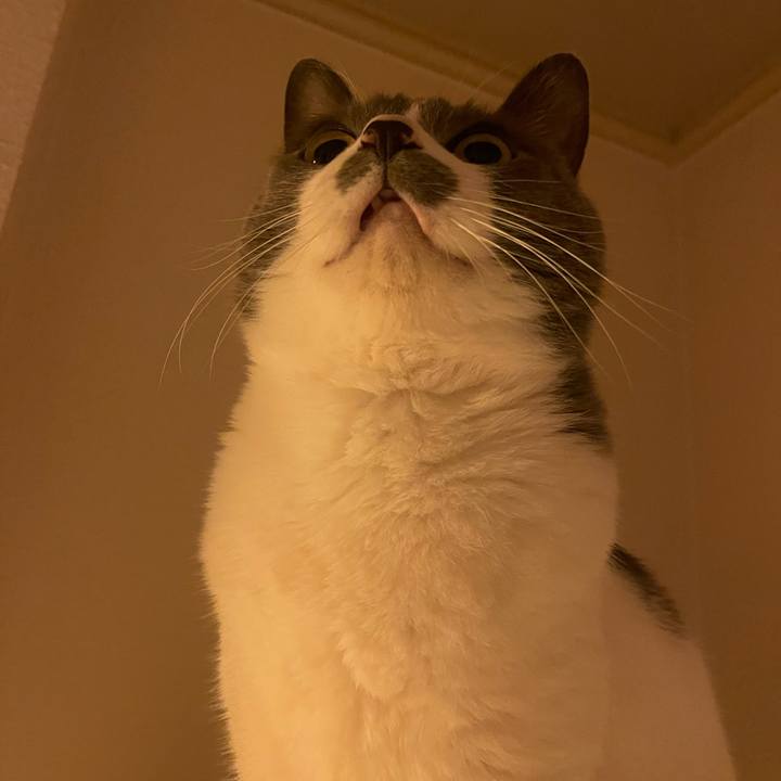 A82957c8 ca49 4c51 b5c9 a6f893fff034 1738495921249