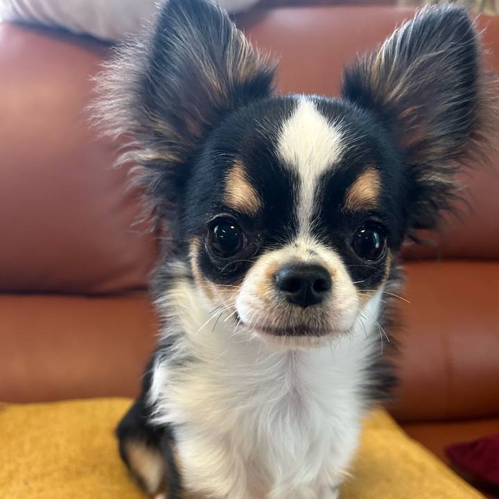 A829734e 7965 4718 87a5 c8ac54deaf17 1762124523307