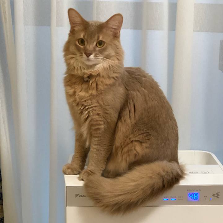 A829b821 0845 4160 9029 06dca11a9dd7 1582247090623