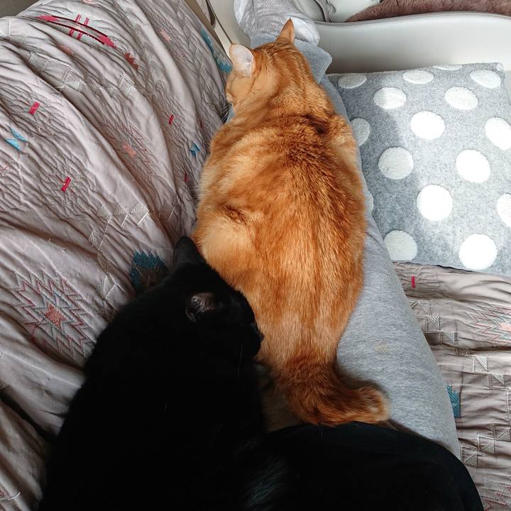 A82a3a5a 23f6 429d b7a6 f6457b4e1bd4 1609218670404