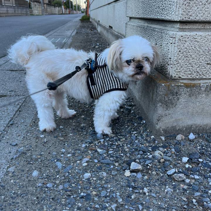 A82a57c4 b03a 4bf2 8ecc 47f9aed65798 1691890668661