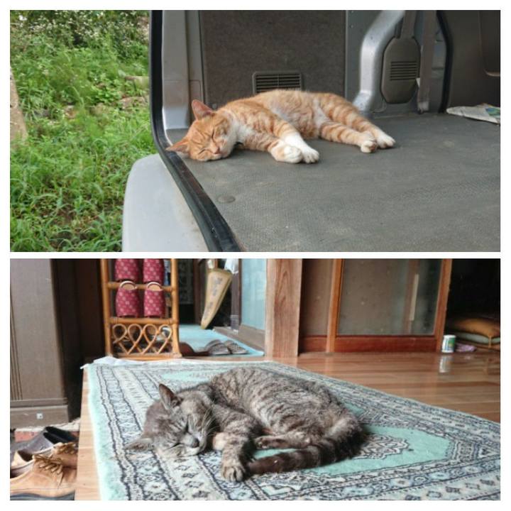 A82a75fa b17a 4391 8387 e147360ecebb 1597477655749