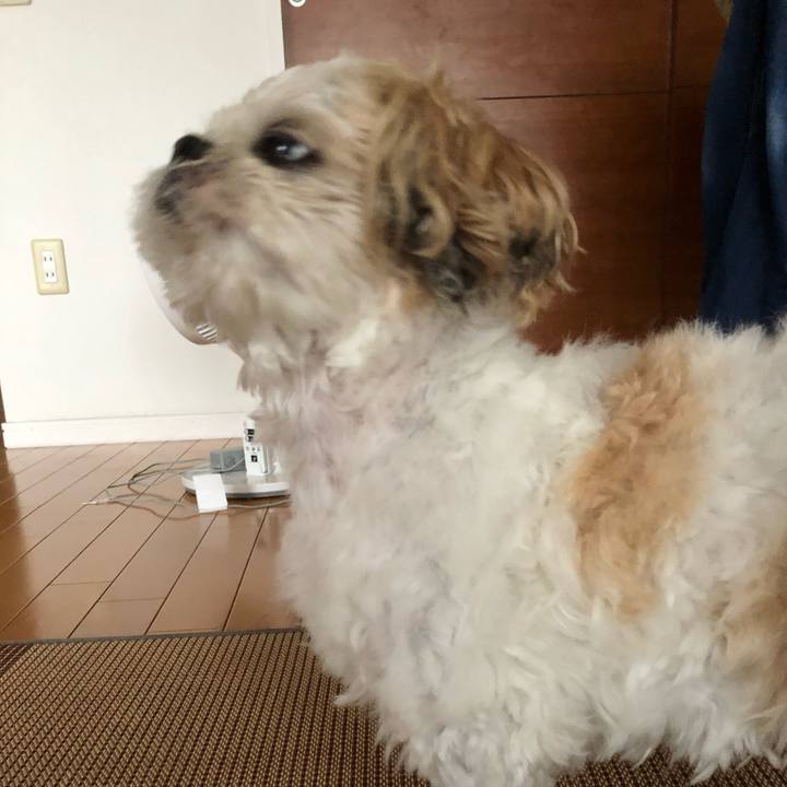 A82aad15 e4be 4f6f 8420 ac94556e065a 1628930572980