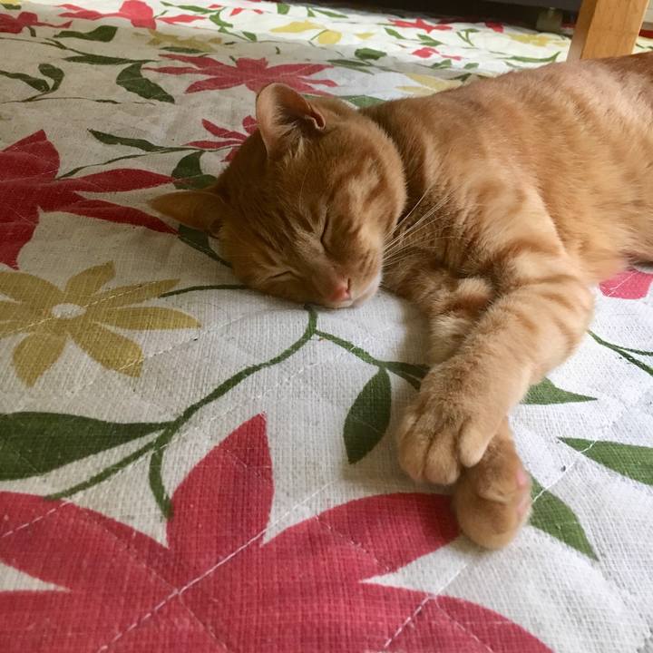 A82aeb30 69db 4249 a360 f1ea79d1d248 1525735862571