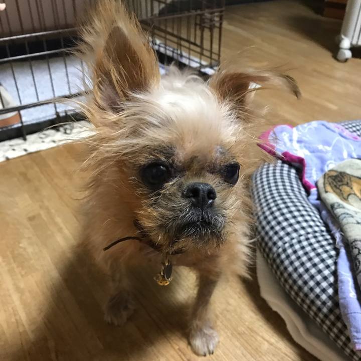 A82b0f6d 2ed4 4f7c 9e37 e4ceb51cd2e7 1542361655640