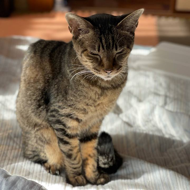 A82b2338 fa6a 4eaf 9be1 1064abb9cf2f 1604972663636