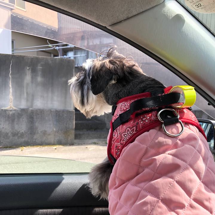 A82b7eed 2c9a 48cf bd15 d228b326ef26 1583667640511