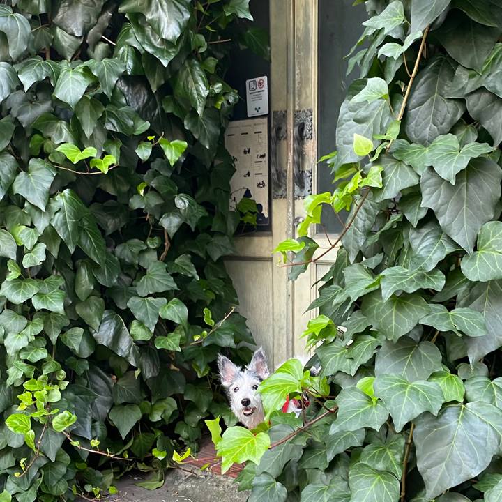 A82b800d 0589 4c1a 99ff 53bf4931c5fb 1600733853994