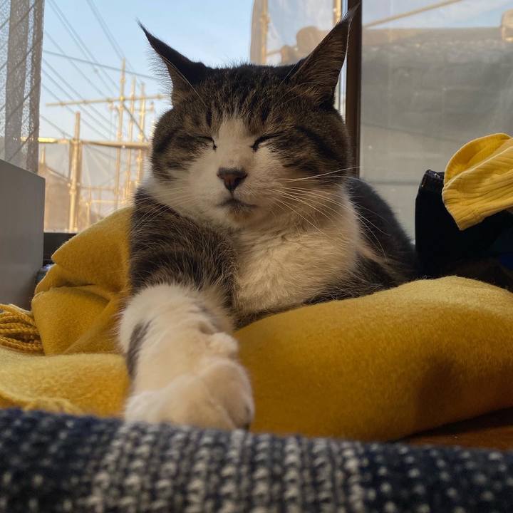 A82b8e54 ab45 4d27 9395 61b7e7635a02 1647096088570