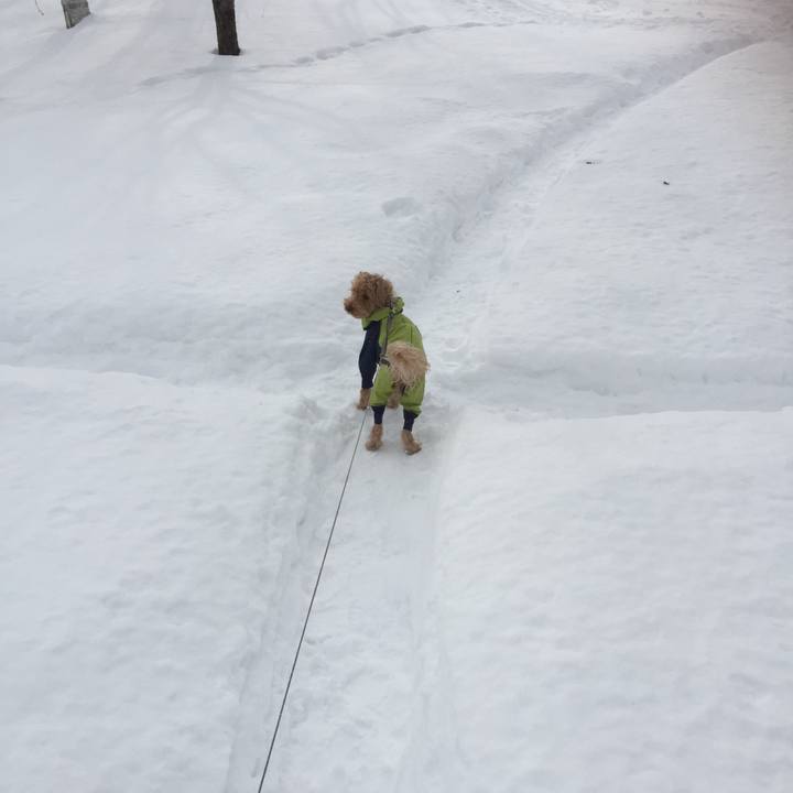 A82b90b3 b199 4b78 8bb9 e1bf8e0a4d12 1519524556310