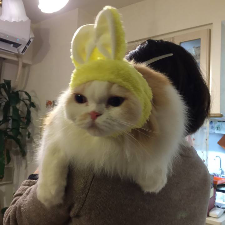 A82baf5d c0bb 4372 96e8 52e6f368f7d9 1516533146012