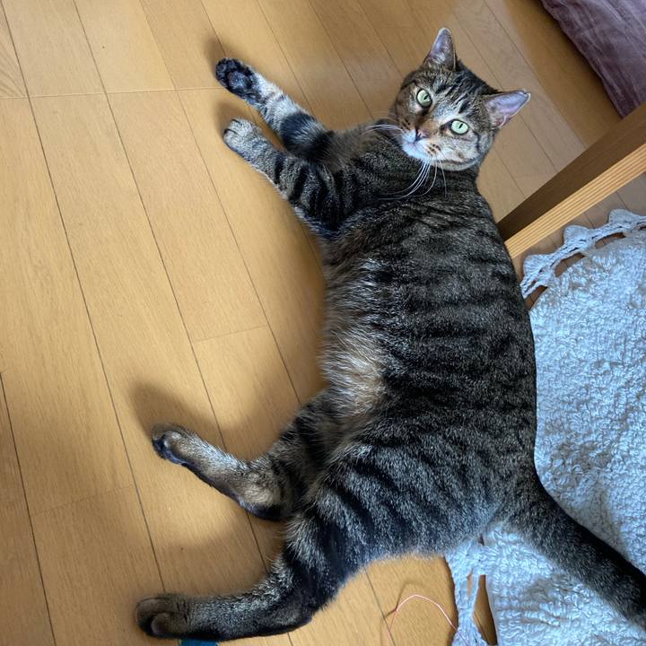 A82be97c c1eb 4995 a723 5a3376901583 1595742068866