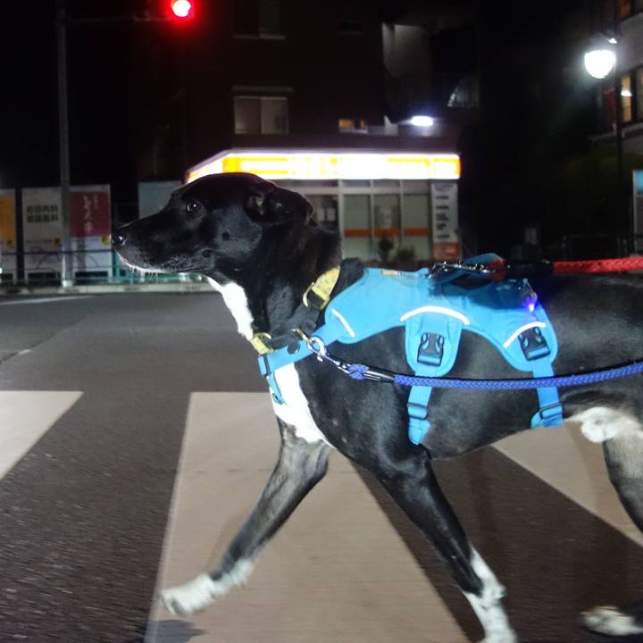 A82bed37 7be1 4bfe 9ca4 27ffee939b41 1608211511490