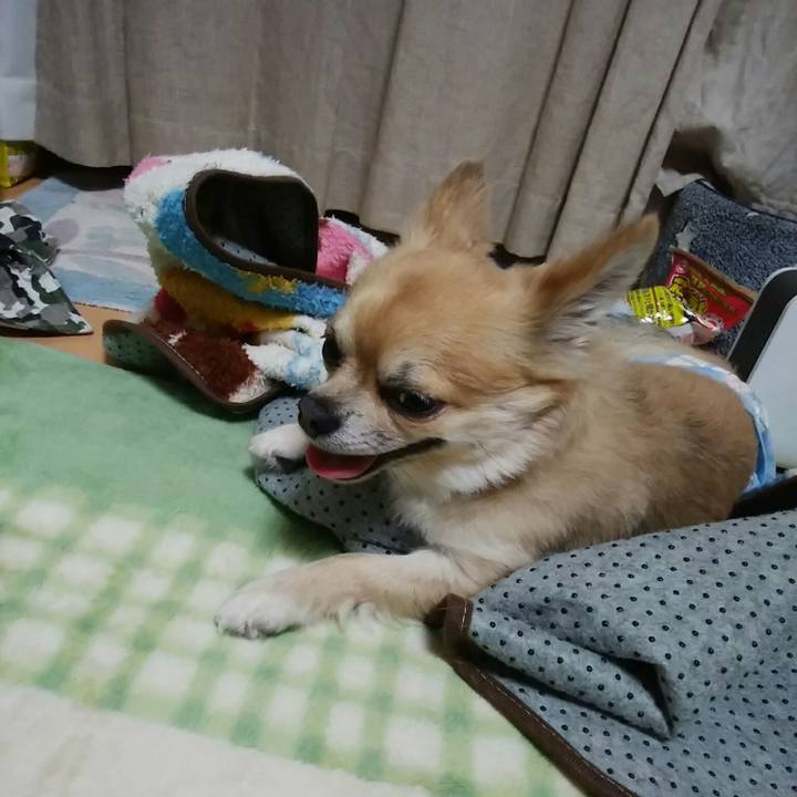 A82bfb2a 7d48 4da2 9f68 f6074591ec70 1529323517691