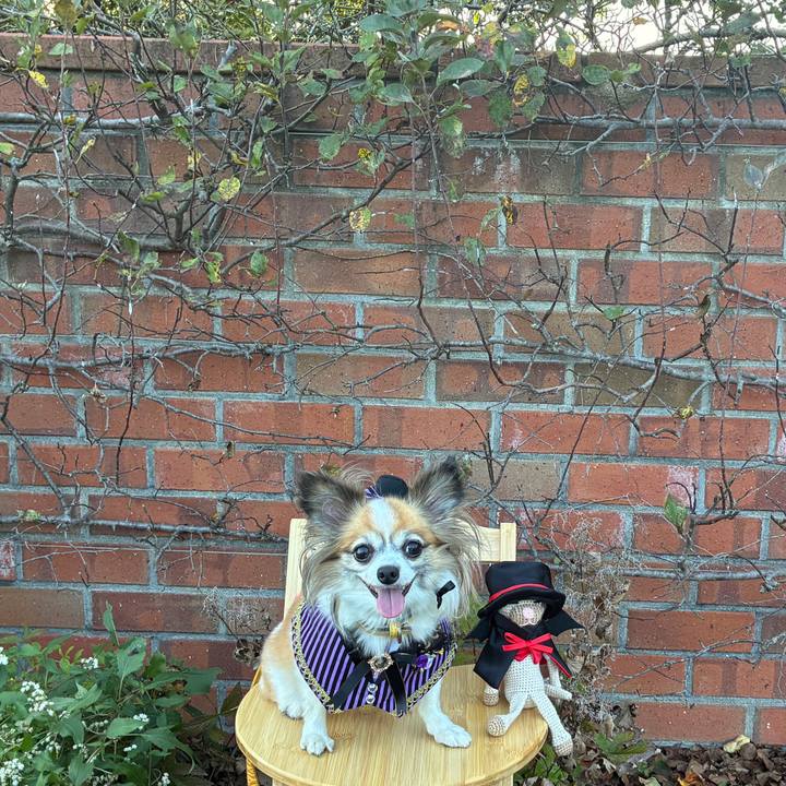 A82bfff0 89c7 4915 923d c334d384e837 1761897067113