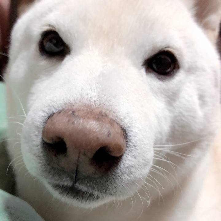 A82c193f 3a29 4f30 98b0 d82ae454eff6 1638426337964