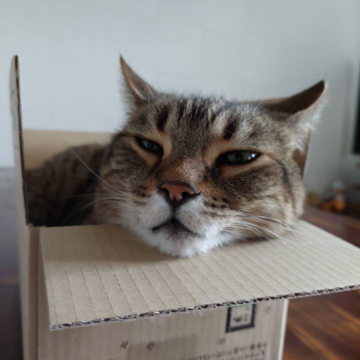 A82c5356 422c 4e45 90af 80af7fe3fff7 1654220582969