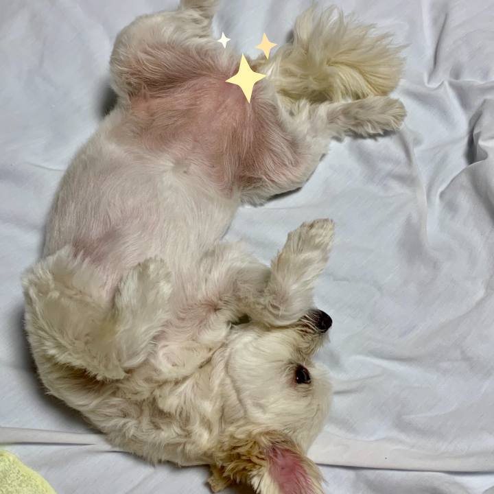 A82c55a3 6ce5 4546 bcda 3f8d35454d22 1568898596650