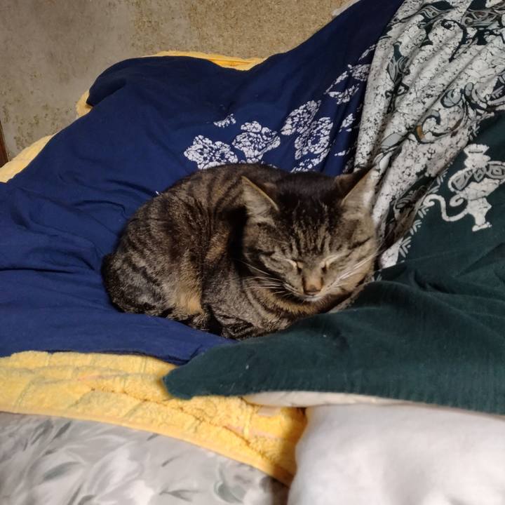 A82ca936 8da9 489e 98d8 ecce53888e9b 1680177874118