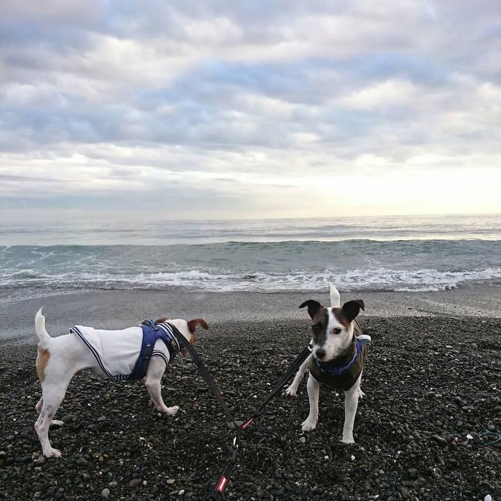 A82cc12a 7f28 4c3a 8d69 4058e961e435 1541231705152