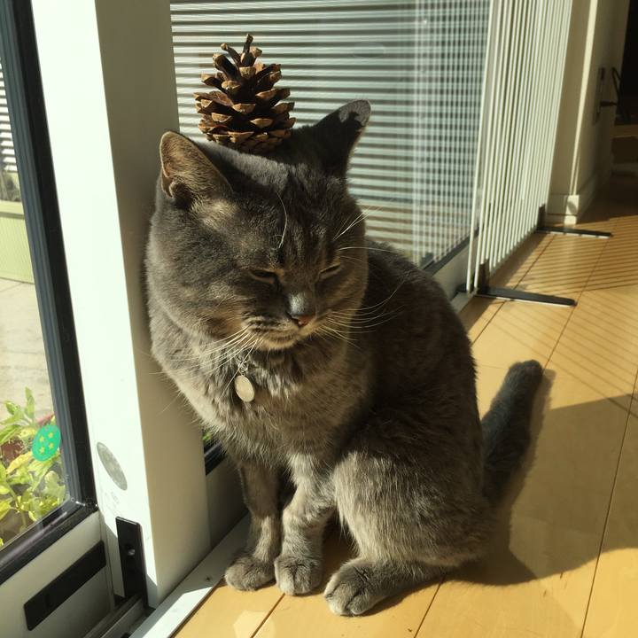 A82ce43f 4d25 47e4 b268 9abb01c9721a 1540084677502