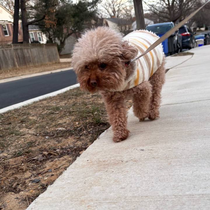 A82ce91f 52d2 4a48 8ddb a36d28b4d6e0 1740092963117