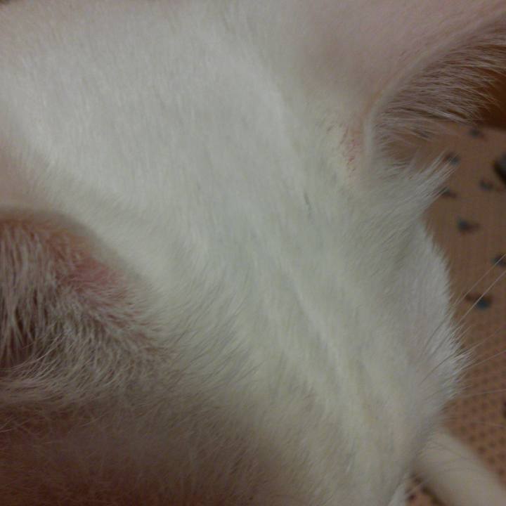 A82d0b19 b388 48d8 a627 55826dd17536 1528814744113