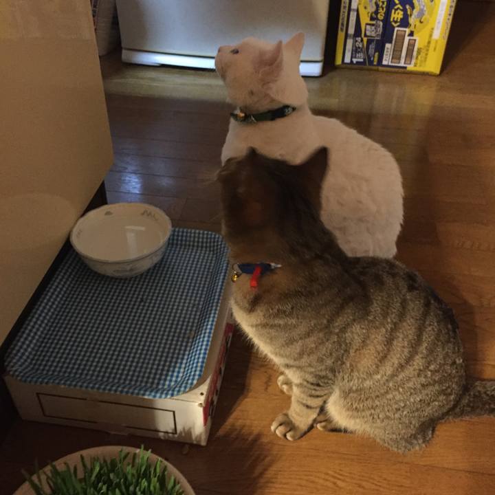 A82d0fc0 52e8 4fa5 832d d108134f5804 1550657787641