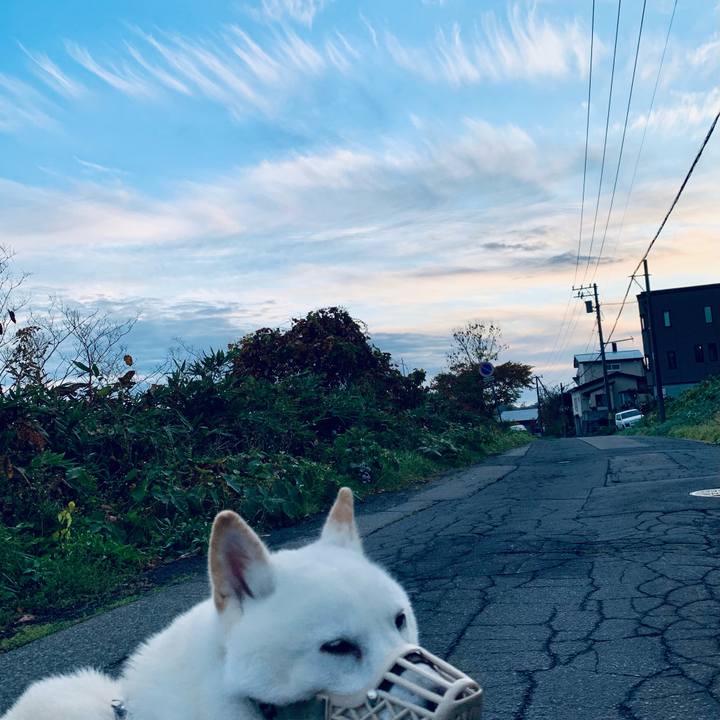 A82d5f79 7db3 4820 85cc 51afc4407b55 1603839130738