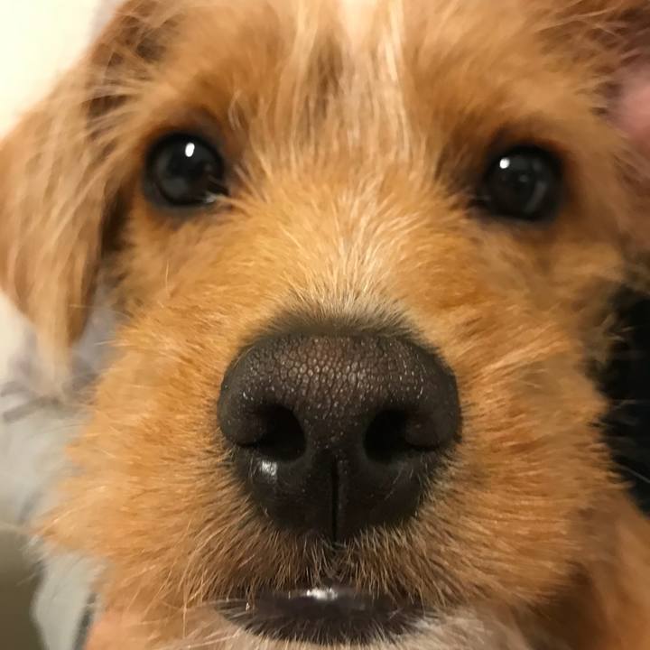 A82d5f87 4aed 4c2a bc4a 929dc31ad69b 1523700293477