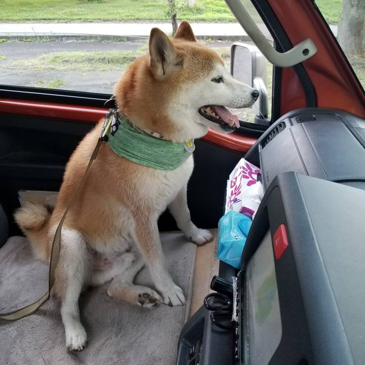 A82d6c9c 4155 4e0d b3df 7aee204a900e 1658480621345