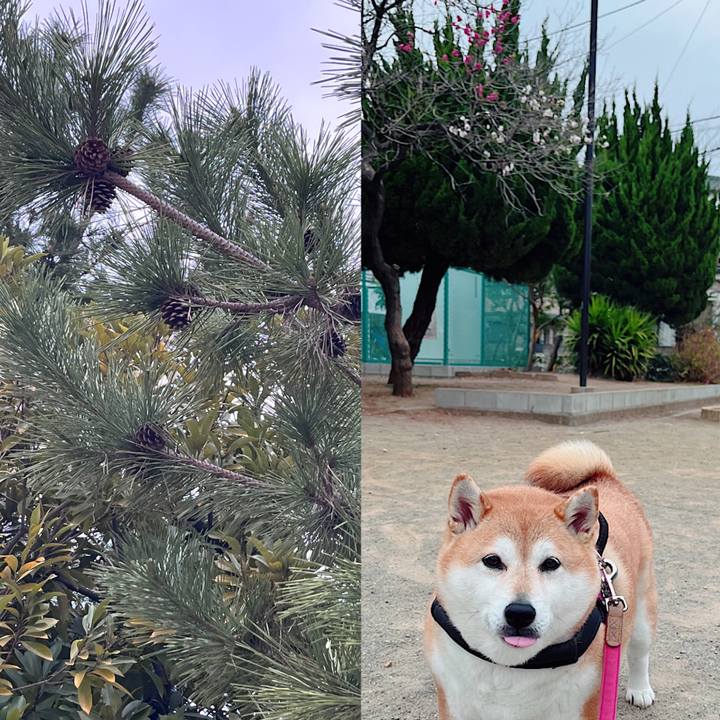 A82db34d cce0 43a9 a017 624da1afa40b 1679042735154