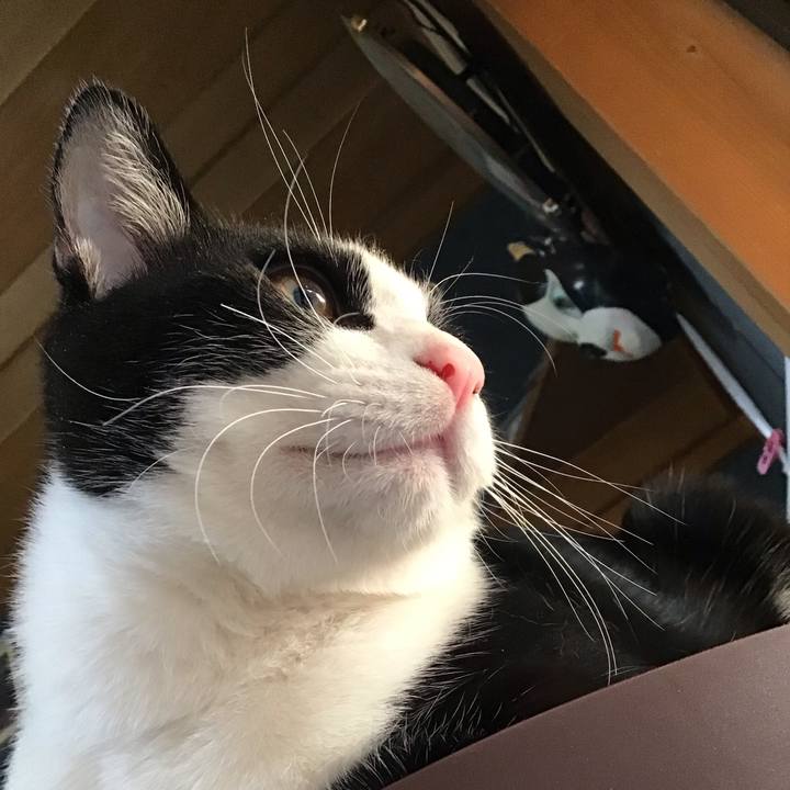 A82dc94f 96d4 4b43 9255 55d6003d170e 1639552486573