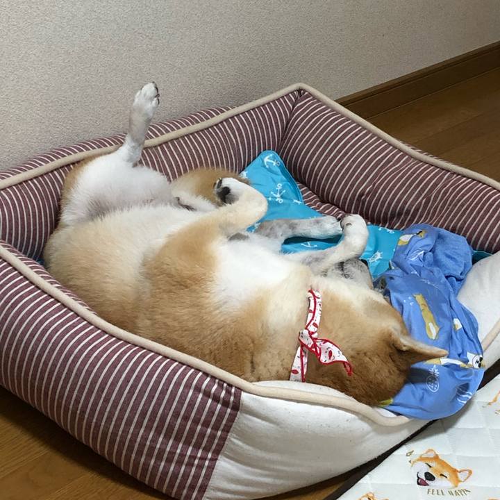 A82dd750 0ed2 4596 9421 8e8ae0dcd718 1563606097256