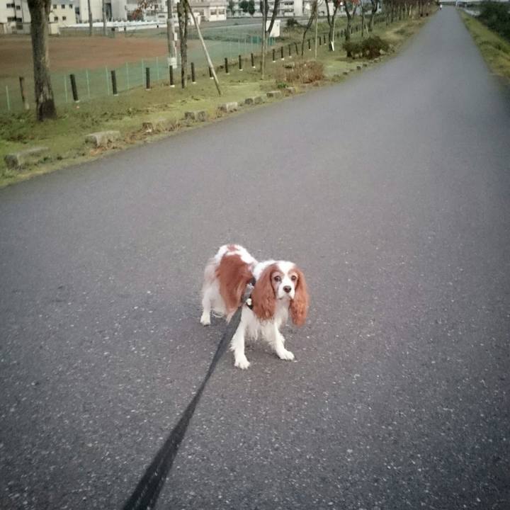 A82de593 898e 4bf6 9b81 37d1ceb713f1 1540857628078