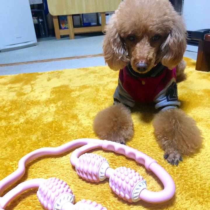 A82df45a 0fcb 4be5 a4bc 01b053969b39 1647990456534