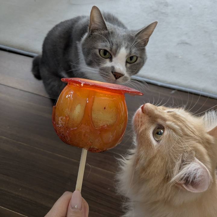 A82e512e db68 4c16 9293 fd68ae6cfd1b 1756526561773