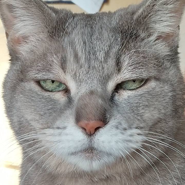 A82e5643 afb0 487a 9378 a224aaf11c95 1639523687251